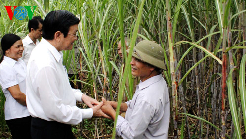 Presidente vietnamita trabaja en localidades norteñas